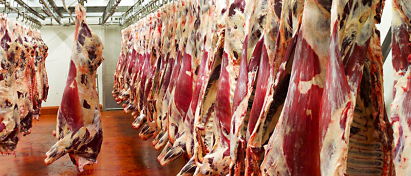Desumidificação na indústria de carnes-Trotec