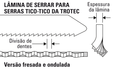 Geometria perfeita dos dentes